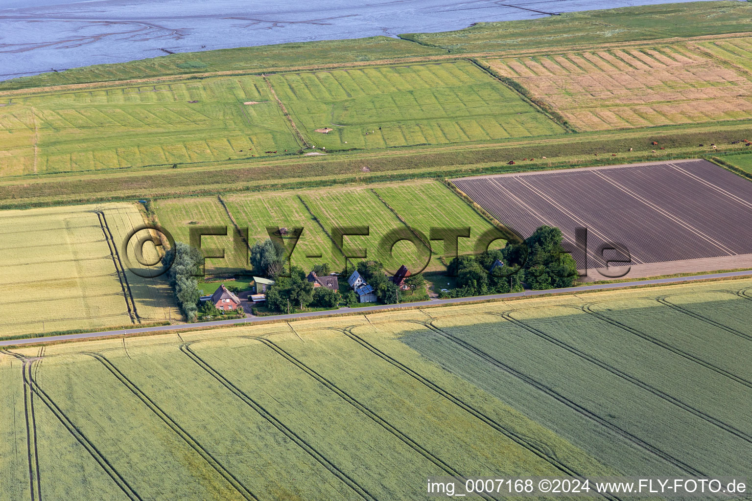 Former dike keepers' yards on Schülpersieler Straße in Wesselburenerkoog in the state Schleswig Holstein, Germany