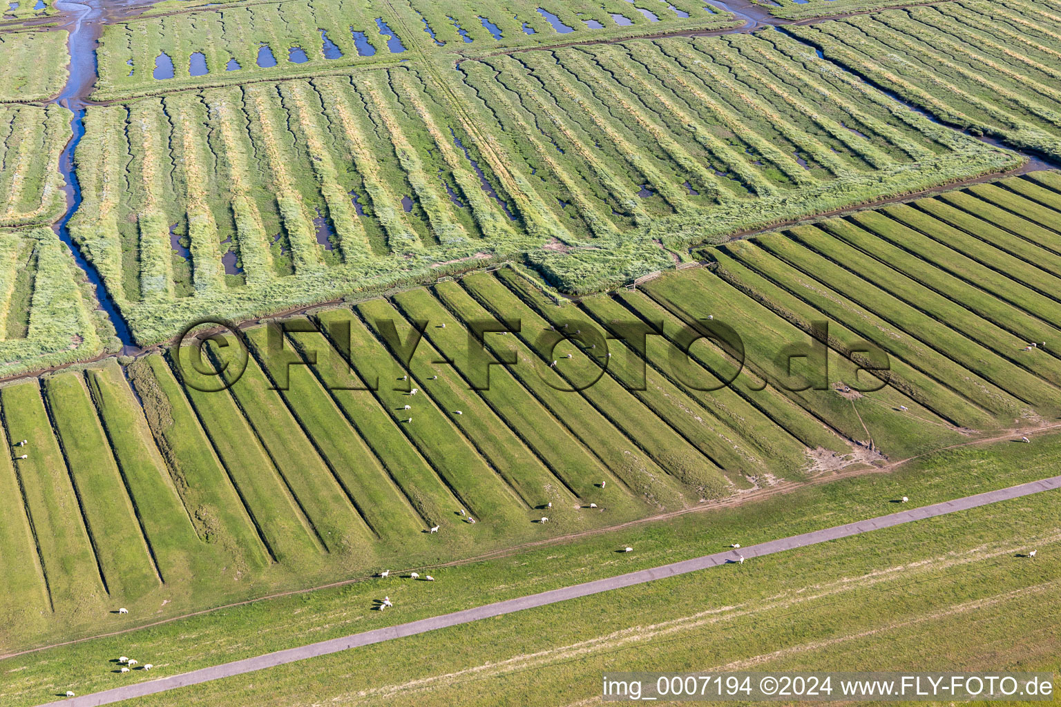 Ehstensiel in Tating in the state Schleswig Holstein, Germany