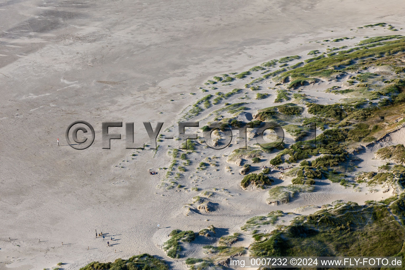 Dunes at the dog beach in the district Ording in Sankt Peter-Ording in the state Schleswig Holstein, Germany