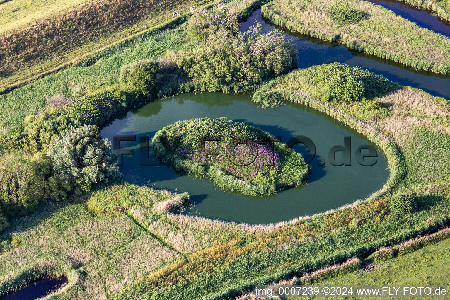 Structures of a salt marsh landscape in Tating in the state Schleswig-Holstein, Germany