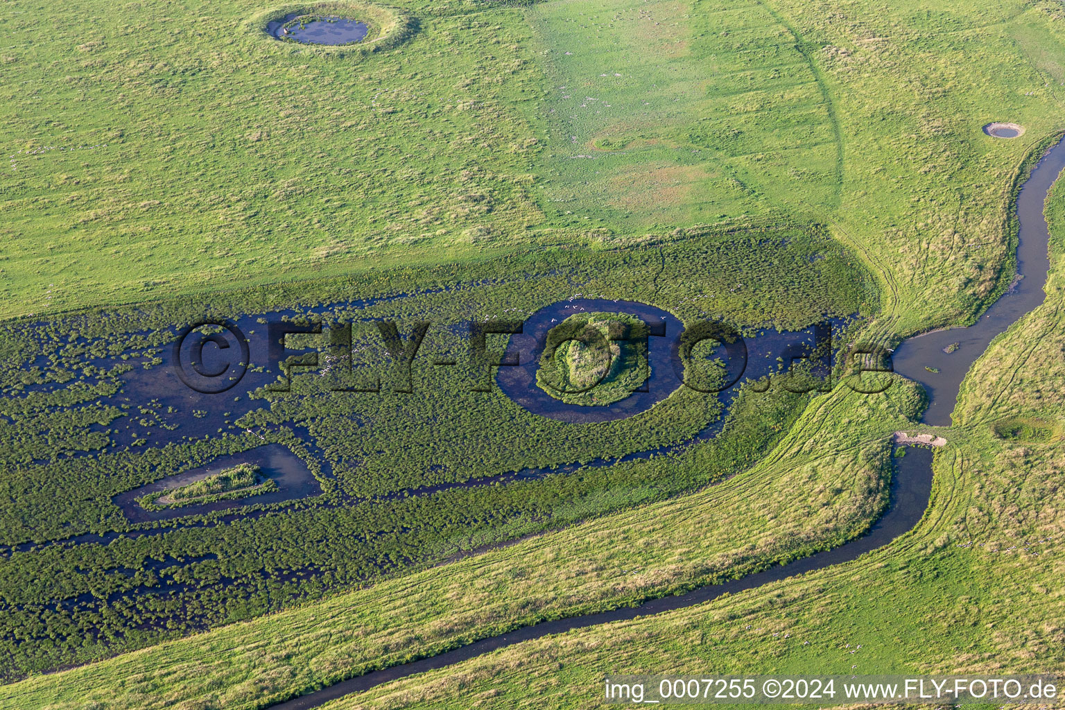 Aerial photograpy of Oldensworter Vorland nature reserve on the Eider in Oldenswort in the state Schleswig Holstein, Germany