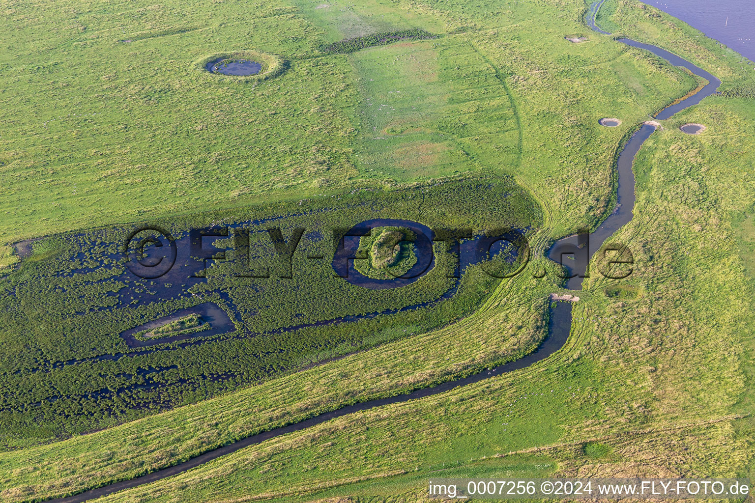 Riparian areas with mudflats along the course of the river of Eider in Karolinenkoog in the state Schleswig-Holstein, Germany