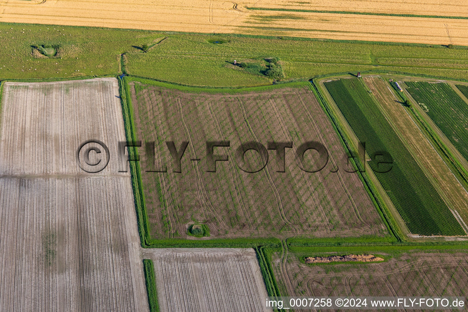 District Sandwehle in Garding in the state Schleswig Holstein, Germany