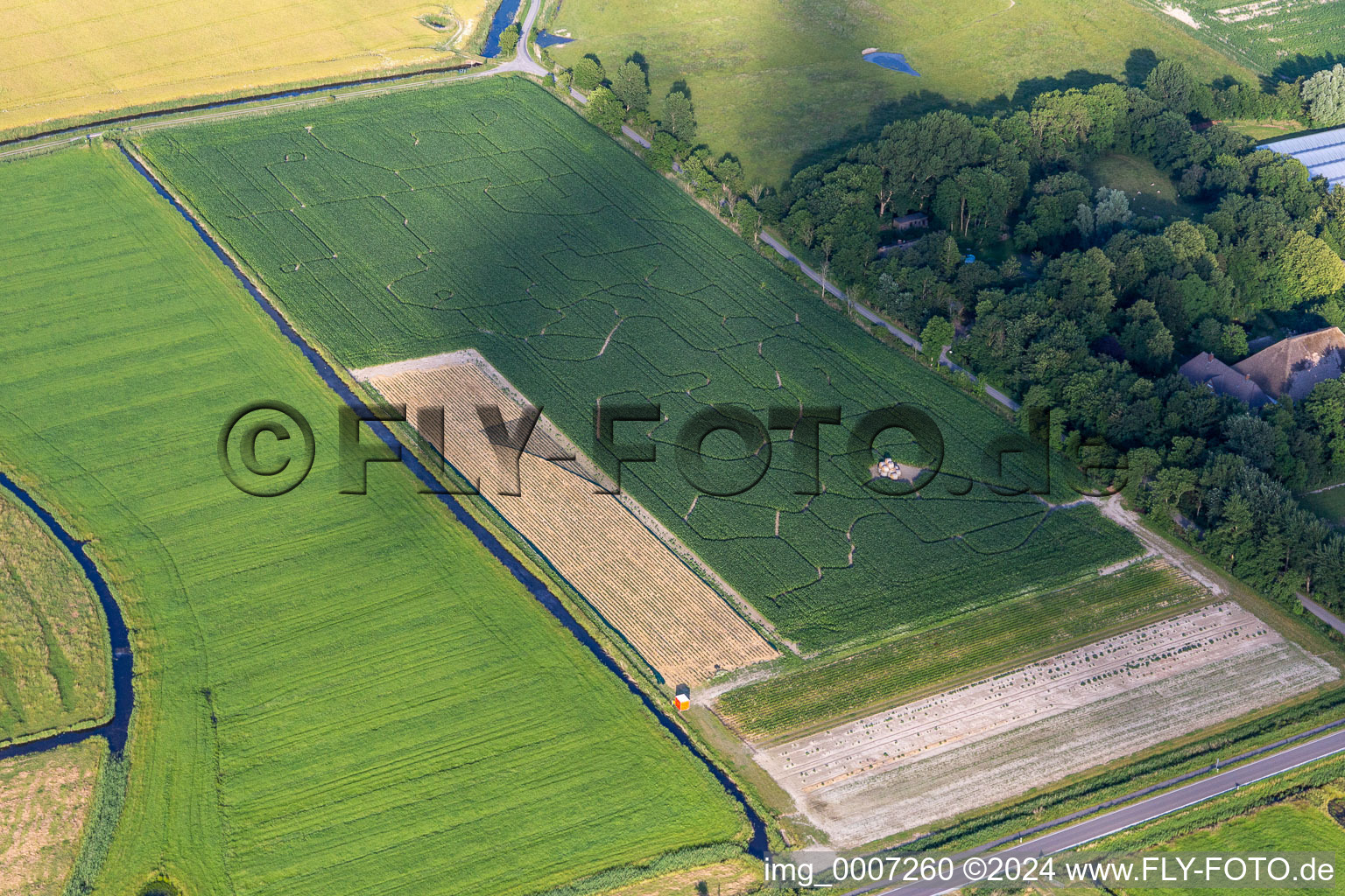 Corn Maze Cool in the district Hülkenbüll in Garding in the state Schleswig Holstein, Germany