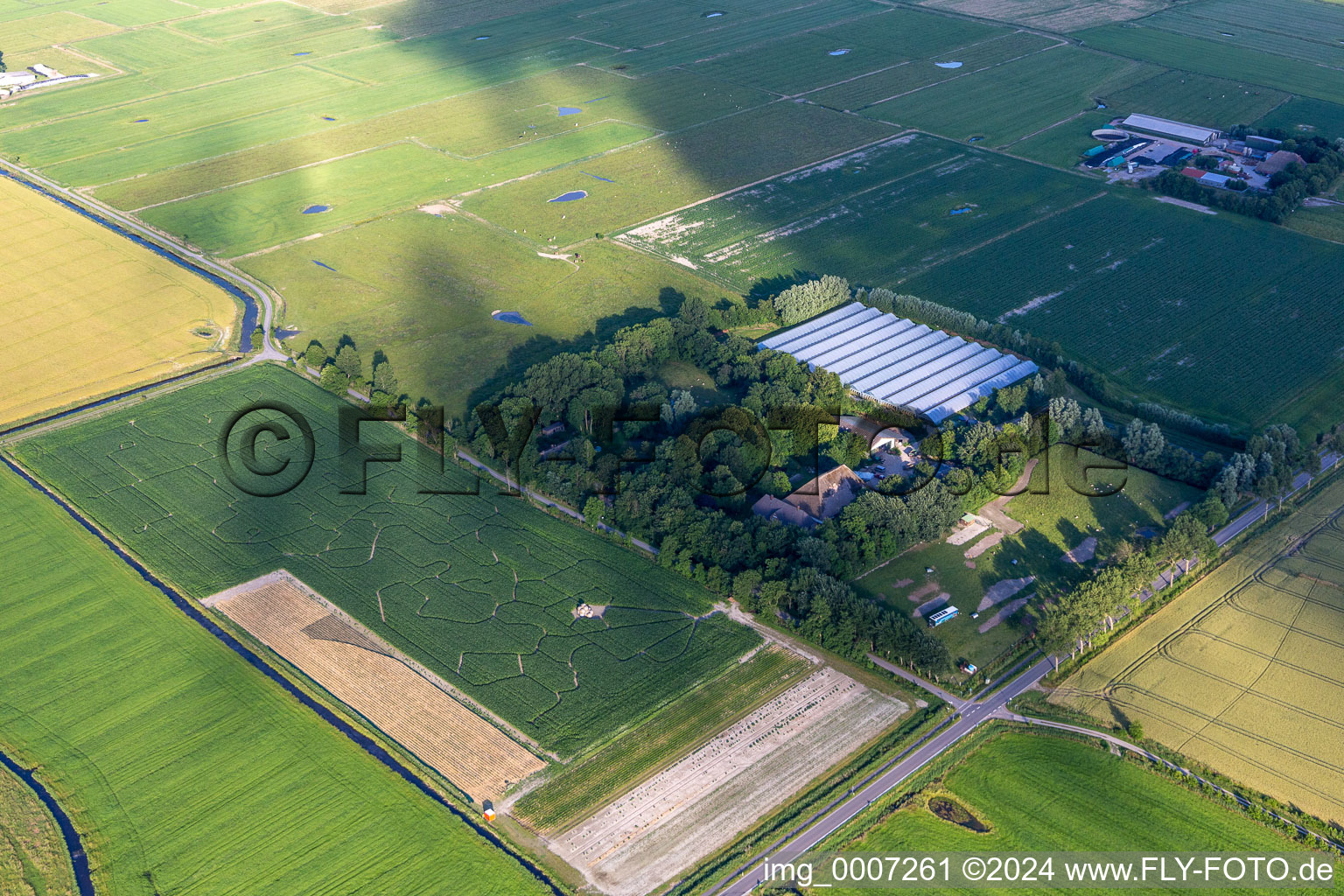 Aerial view of Corn Maze Cool in the district Hülkenbüll in Garding in the state Schleswig Holstein, Germany