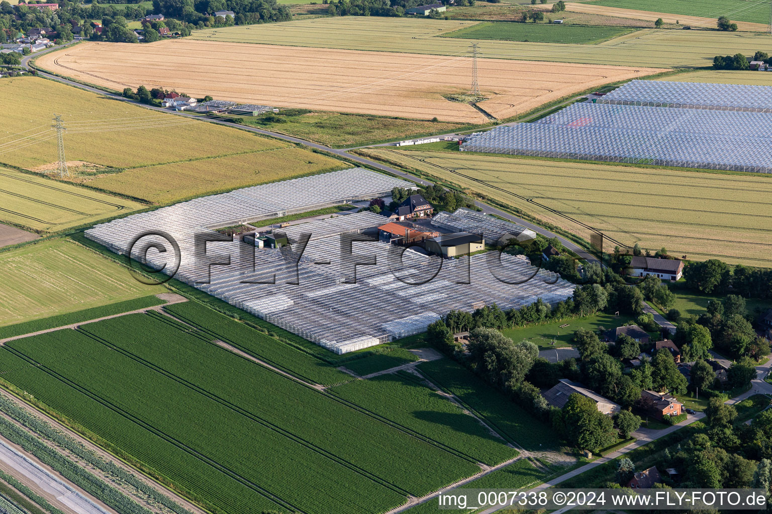 Glass roof surfaces in the greenhouse for vegetable growing ranks von Diener Hermann in Schuelperweide in the state Schleswig-Holstein, Germany