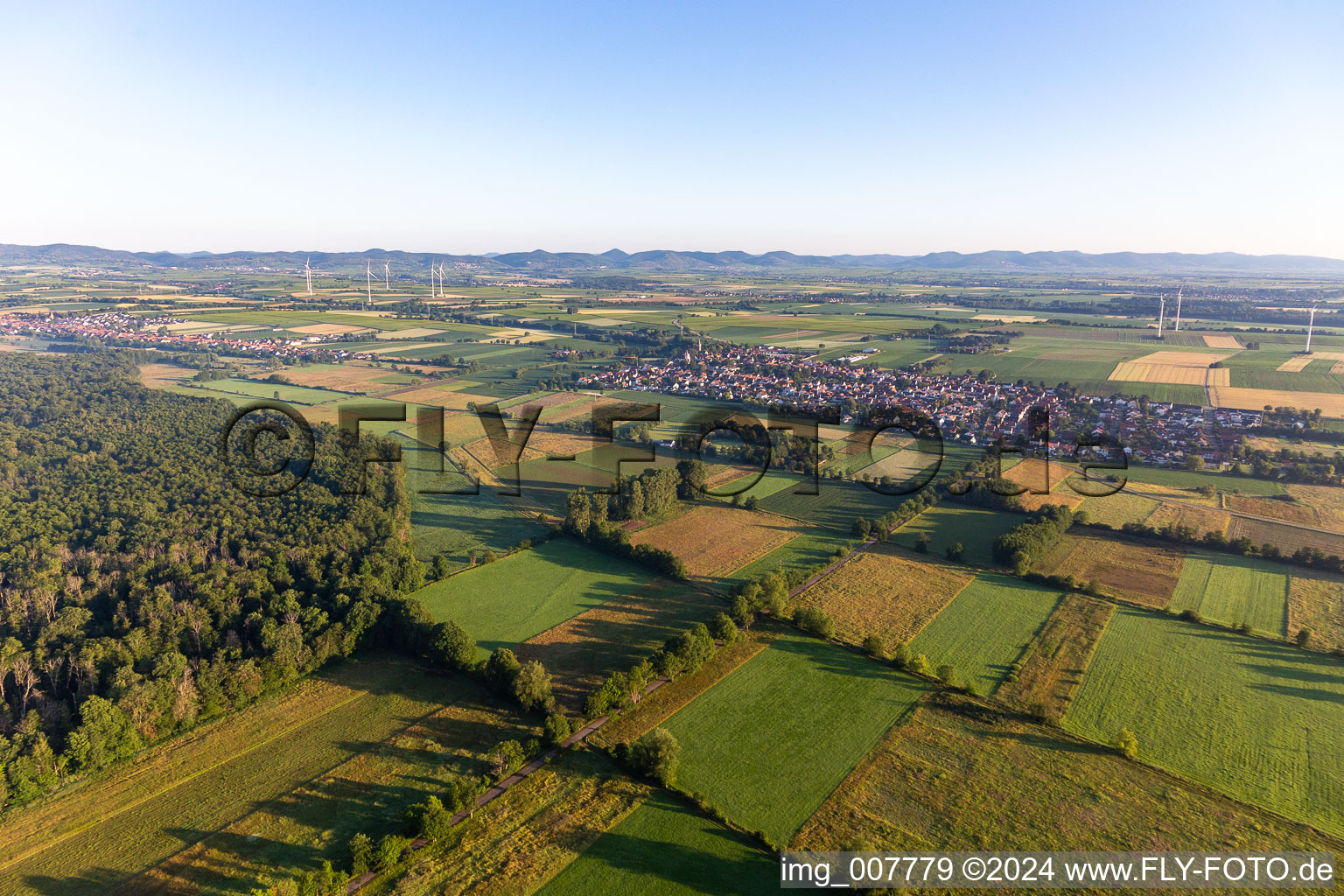 Minfeld in the state Rhineland-Palatinate, Germany