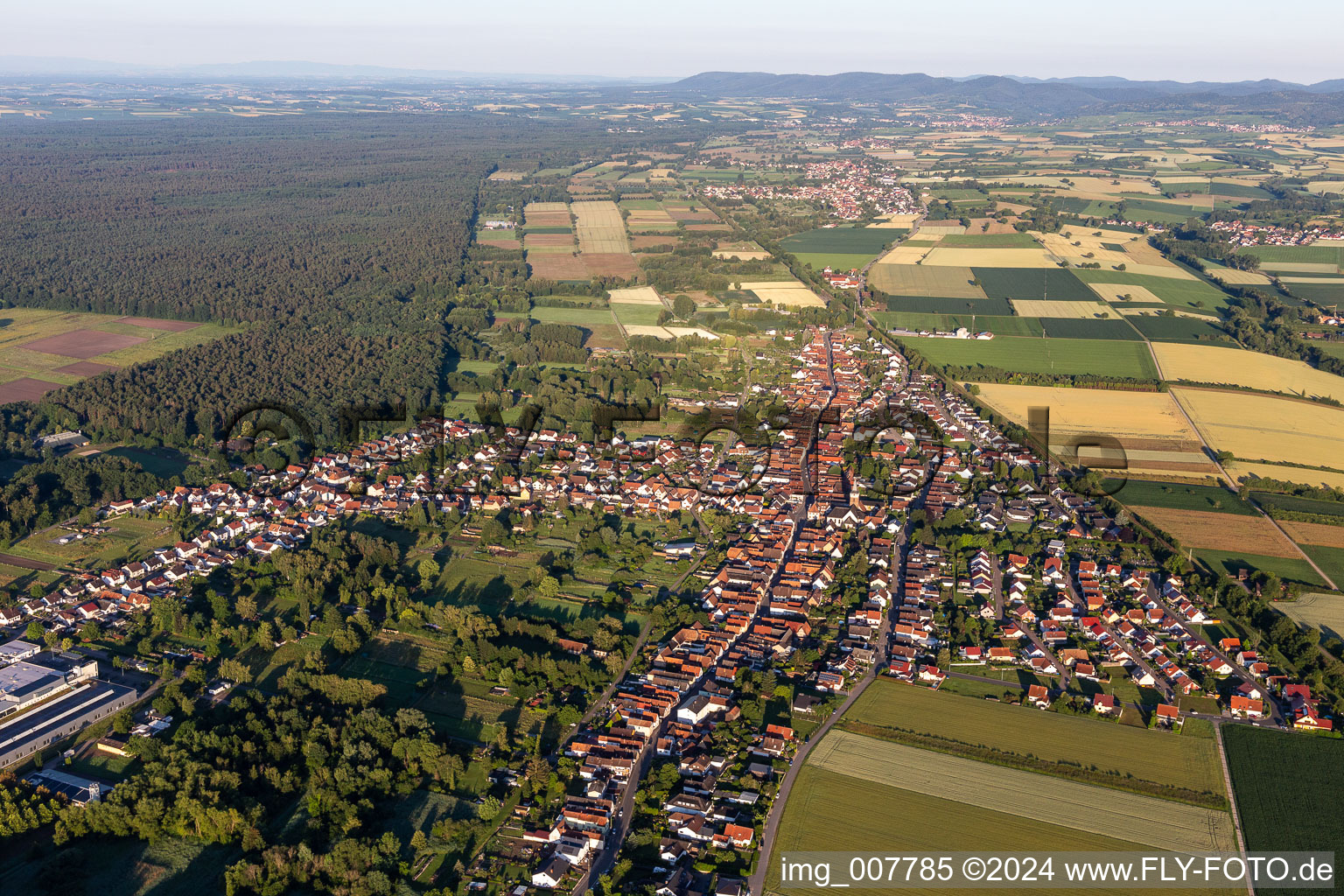 Aerial view of District Schaidt in Wörth am Rhein in the state Rhineland-Palatinate, Germany