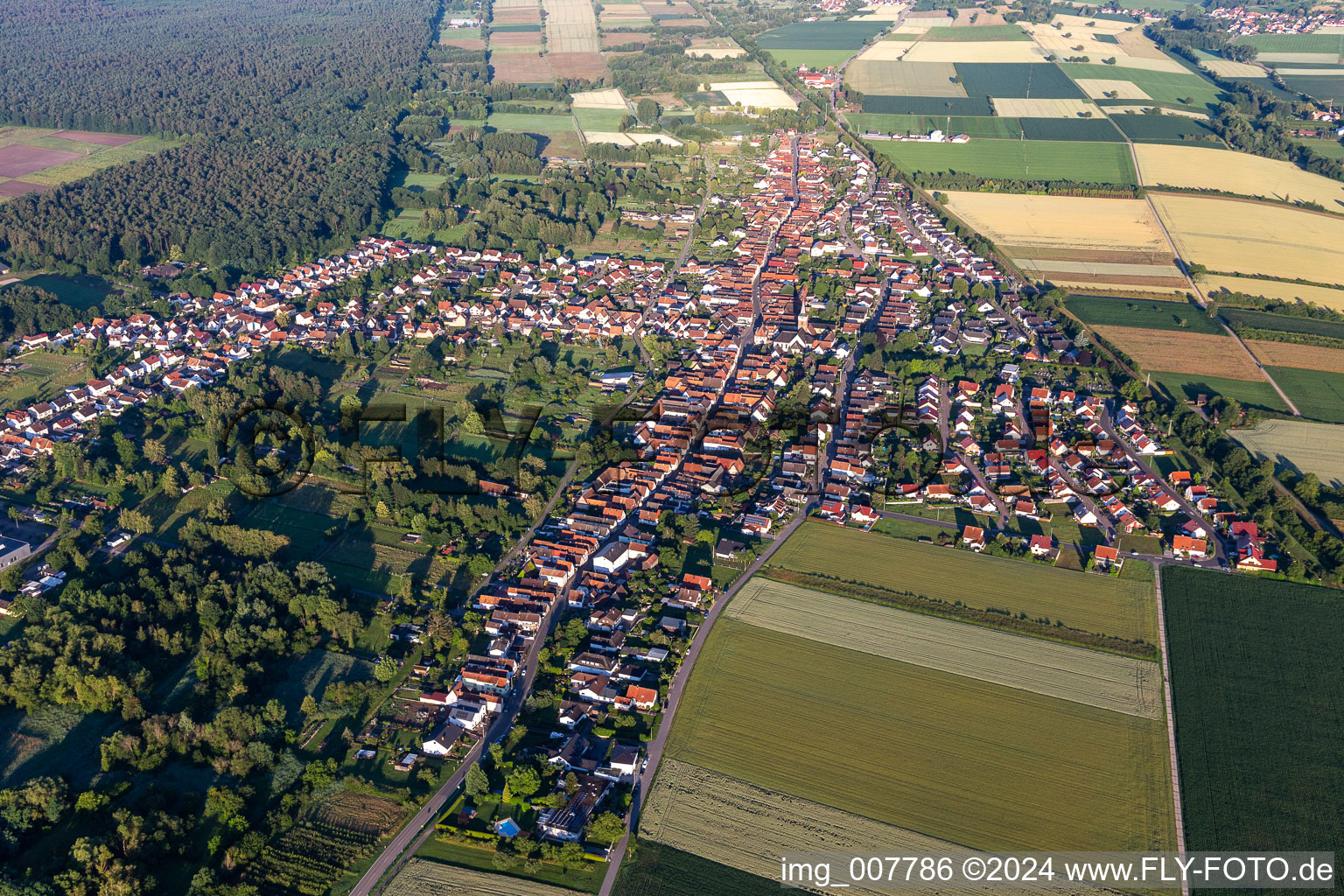 Aerial photograpy of District Schaidt in Wörth am Rhein in the state Rhineland-Palatinate, Germany