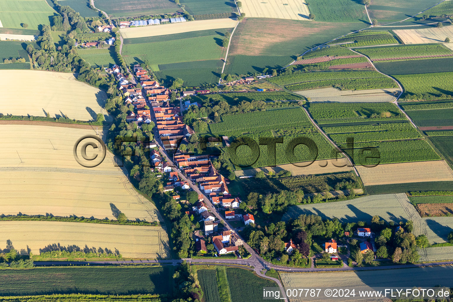 Aerial photograpy of Vollmersweiler in the state Rhineland-Palatinate, Germany