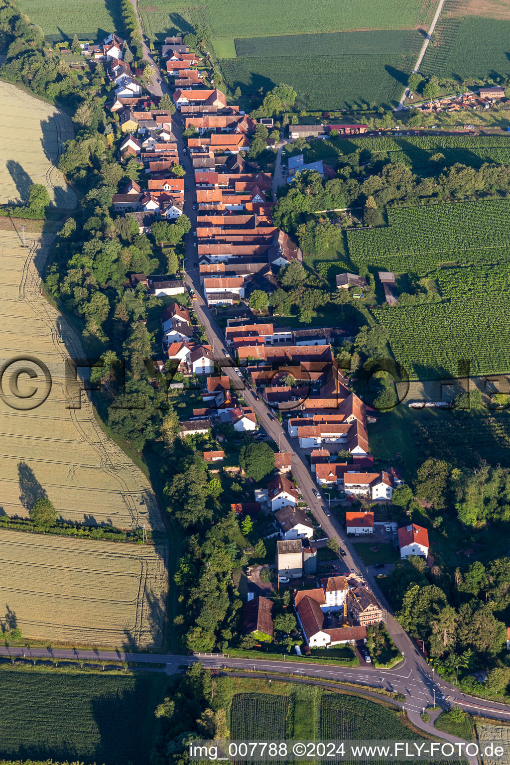 Oblique view of Vollmersweiler in the state Rhineland-Palatinate, Germany