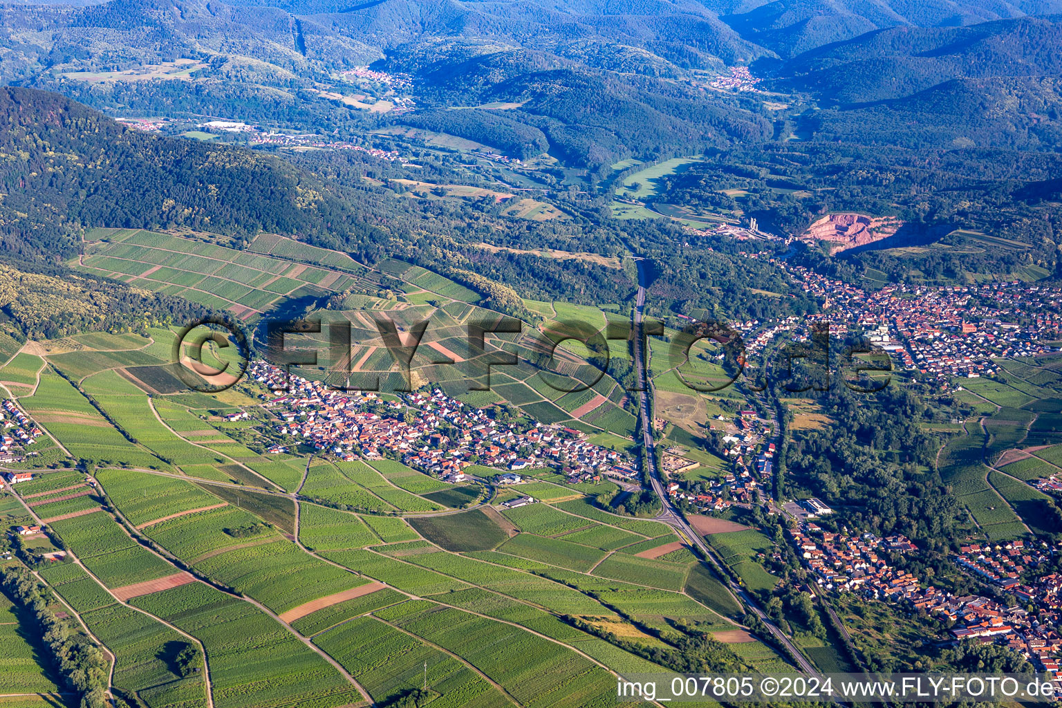 Birkweiler in the state Rhineland-Palatinate, Germany