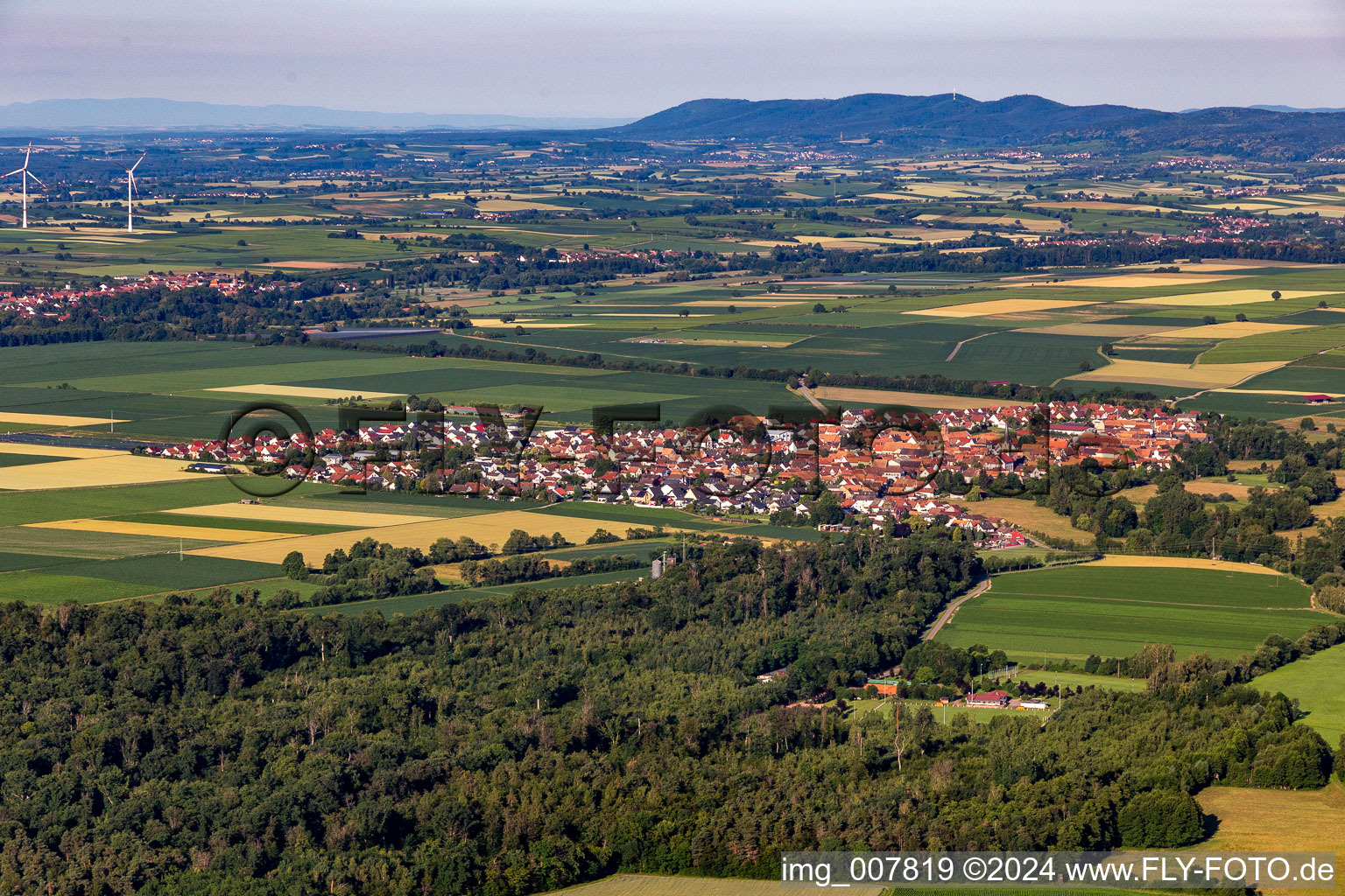 Village view in Steinweiler in the state Rhineland-Palatinate, Germany