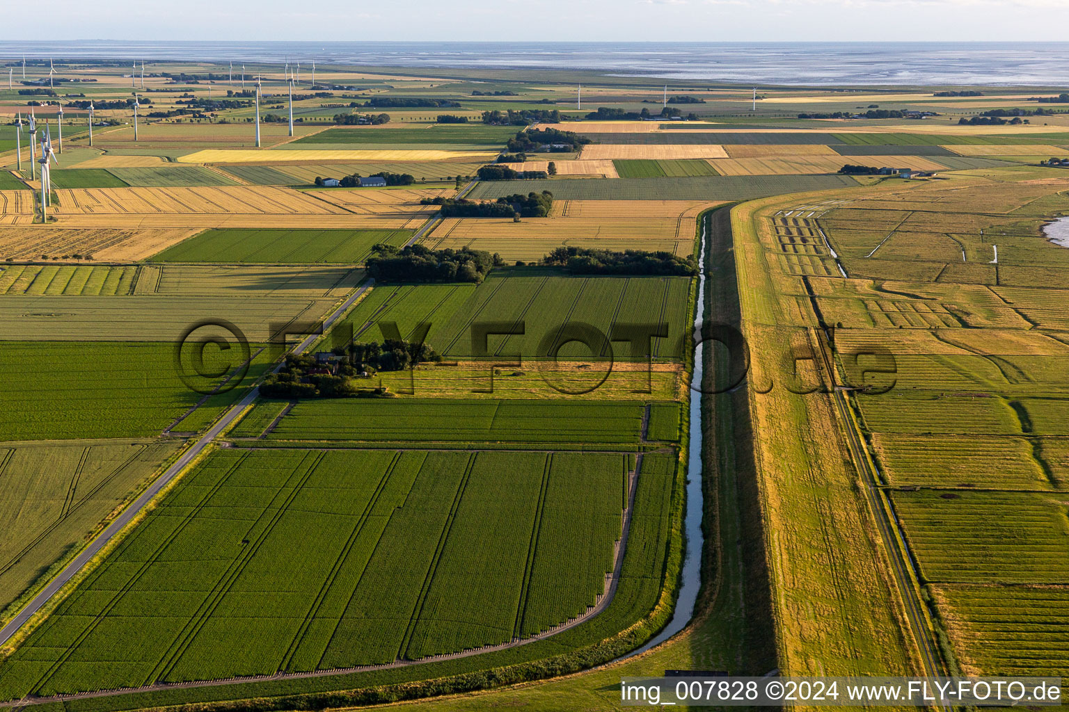 Schülpersieler Street in Wesselburenerkoog in the state Schleswig Holstein, Germany