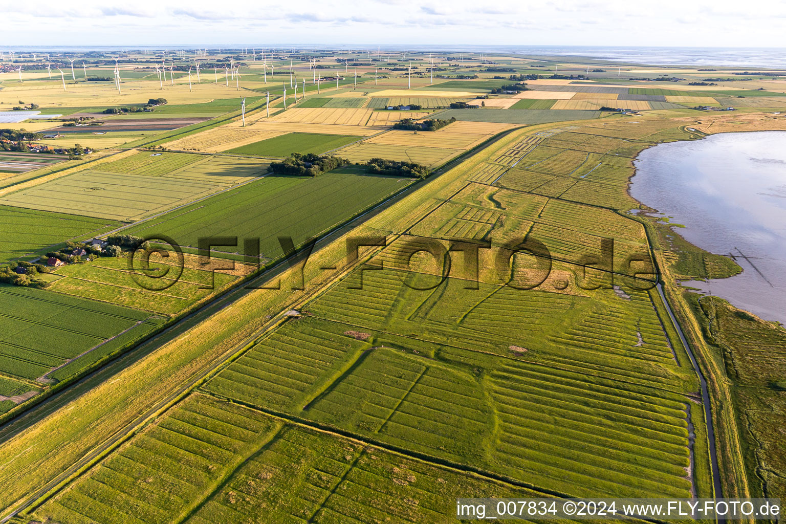 Oblique view of Wesselburenerkoog in the state Schleswig Holstein, Germany