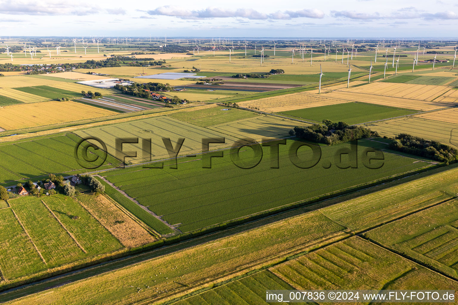 Wind turbine windmills on a field in Schuelp in the state Schleswig-Holstein, Germany