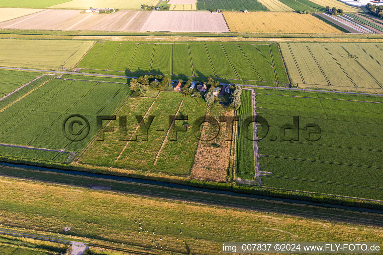 Aerial view of Schülpersieler Street in Wesselburenerkoog in the state Schleswig Holstein, Germany