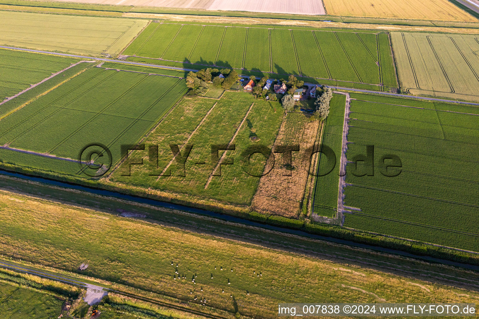 Aerial photograpy of Schülpersieler Street in Wesselburenerkoog in the state Schleswig Holstein, Germany