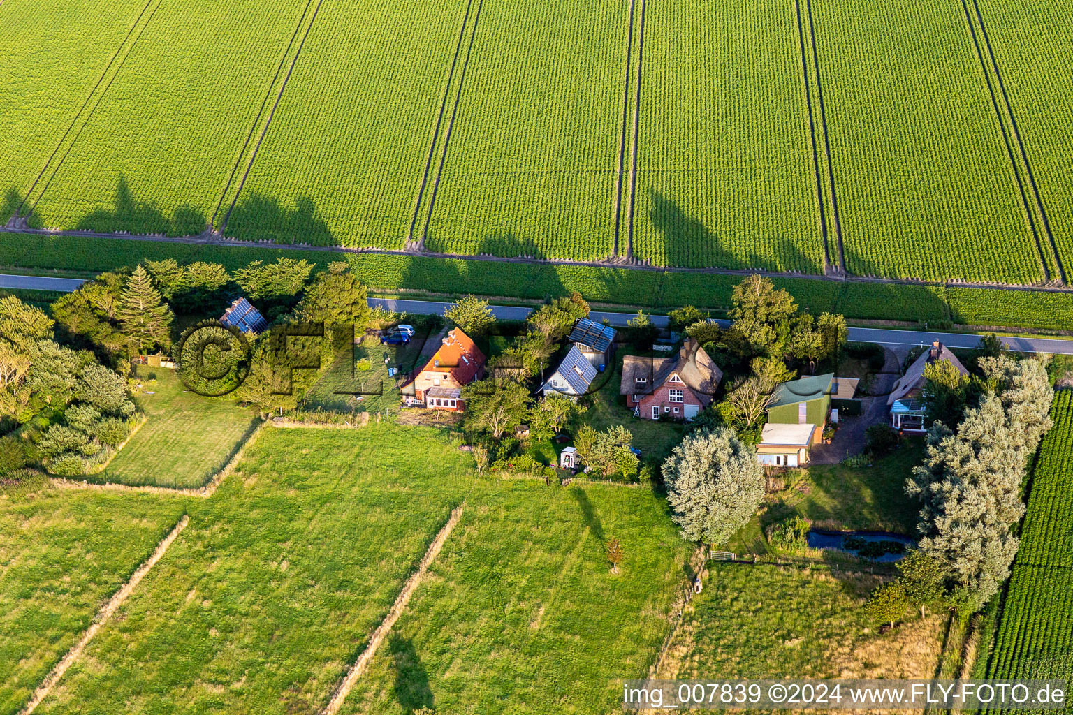 Oblique view of Schülpersieler Street in Wesselburenerkoog in the state Schleswig Holstein, Germany