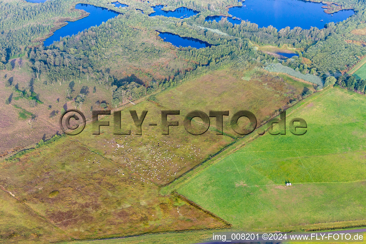 Aerial view of Haaksbergen in the state Overijssel, Netherlands