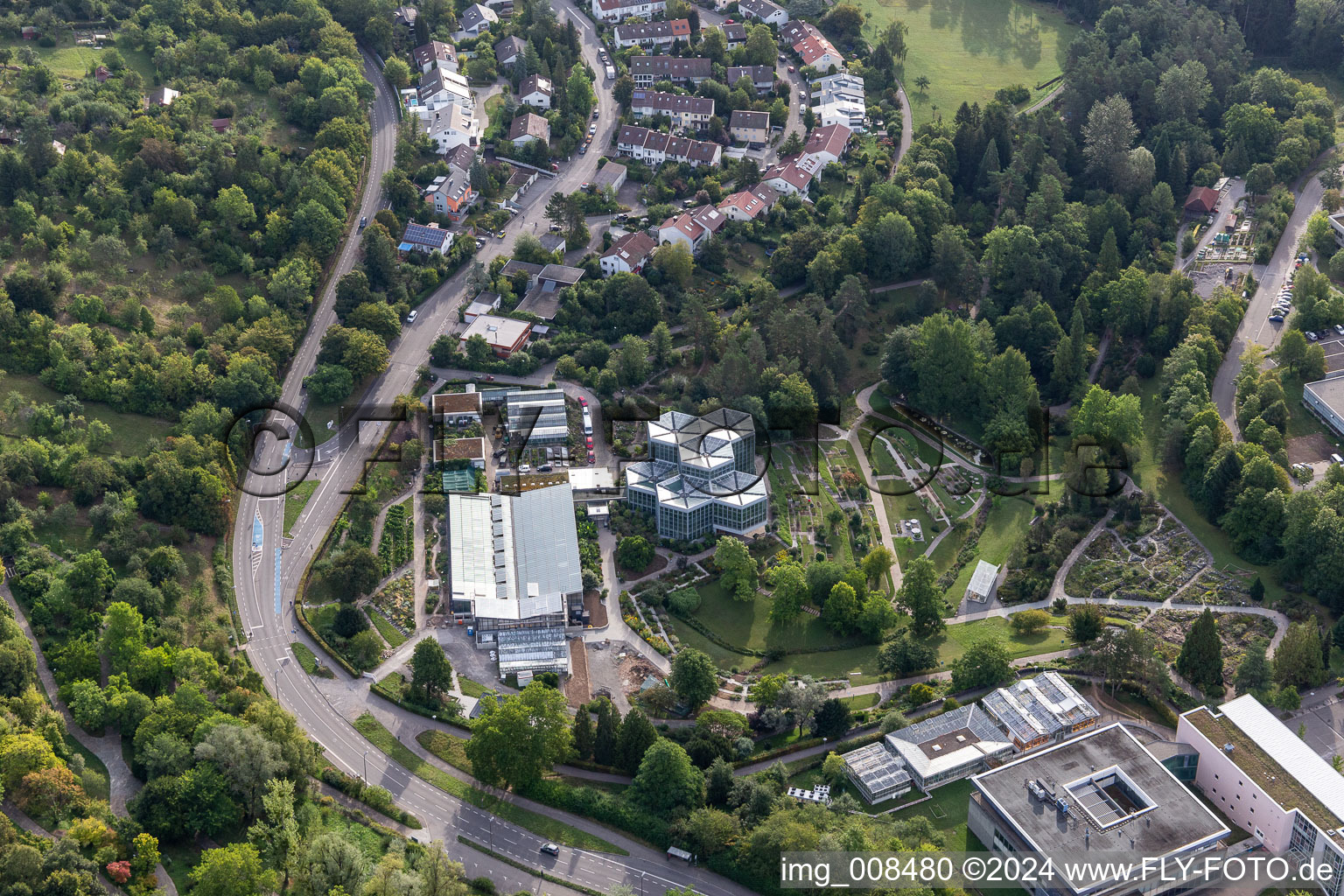 Terraced park Botanischer Garten, Tropicarium and Arboretum of Universitaet Tuebingen in Tuebingen in the state Baden-Wuerttemberg, Germany