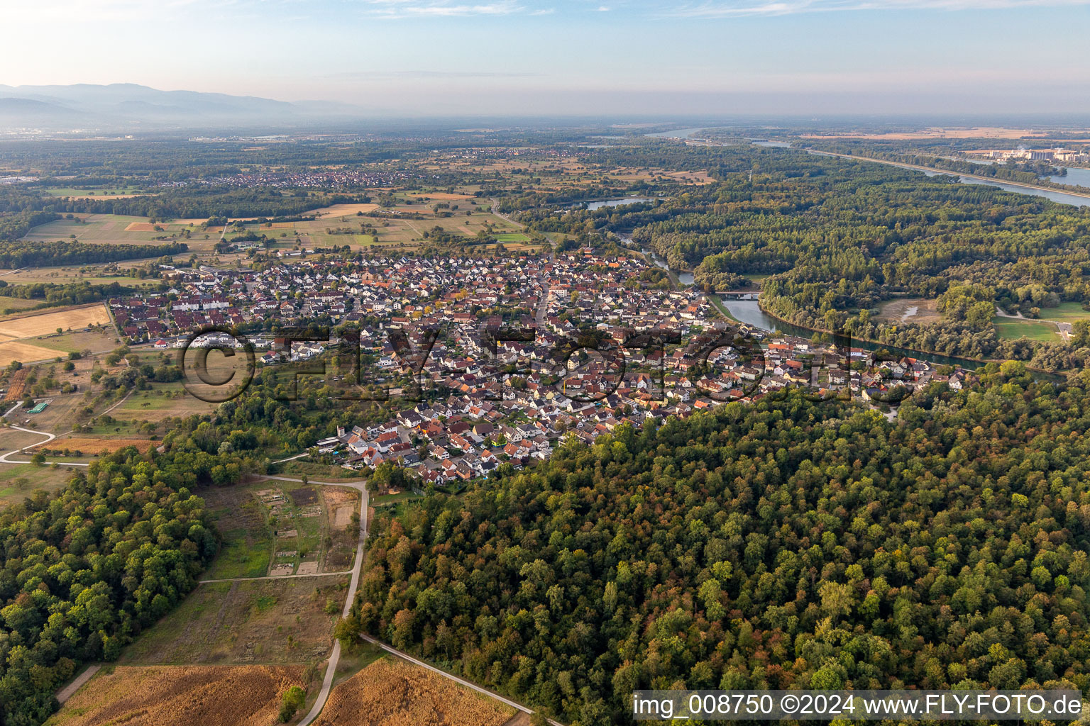 Village on the banks of the area Altrhein - river course in Plittersdorf in the state Baden-Wuerttemberg, Germany