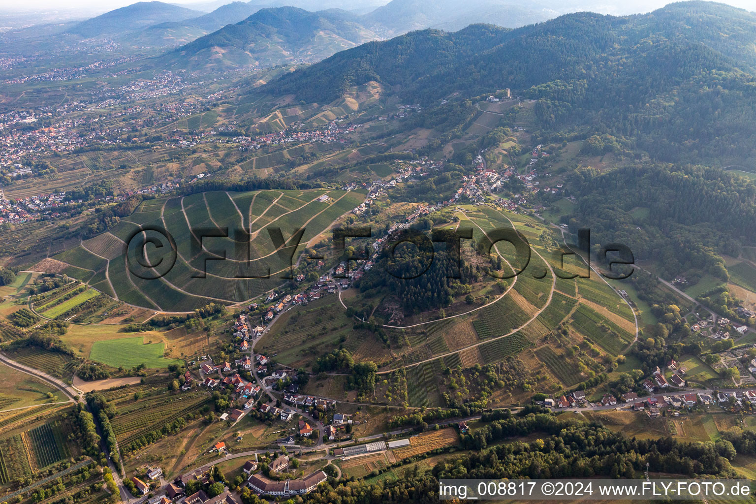 Baden vineyards in the district Waldmatt in Bühl in the state Baden-Wuerttemberg, Germany