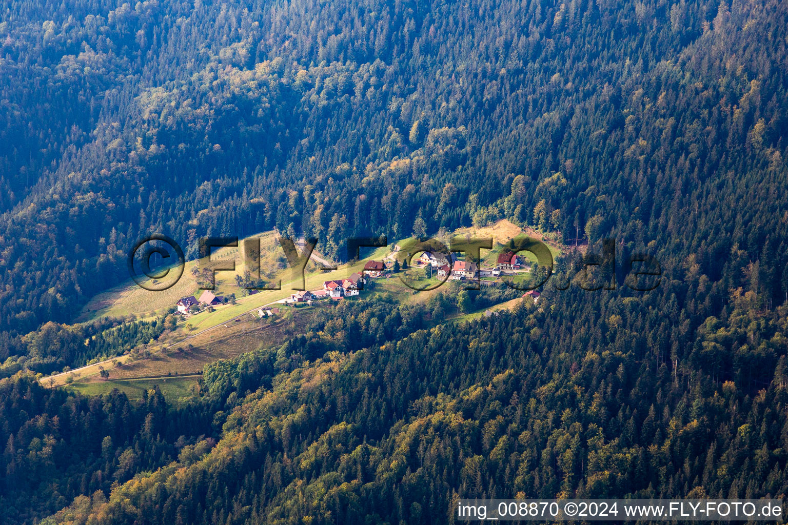 Herlesries in Oppenau in the state Baden-Wuerttemberg, Germany