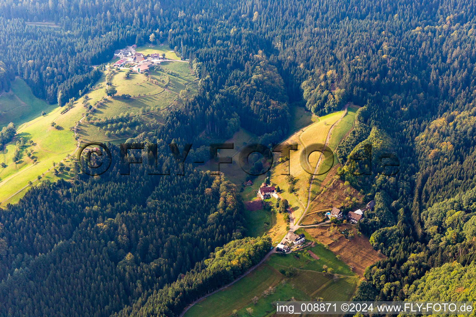 Homestead of a black forest farm Felmeck in Oppenau in the state Baden-Wuerttemberg, Germany