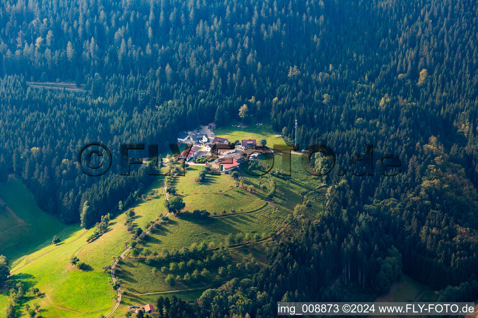 Löscherhansenhof in the district Bad Peterstal in Bad Peterstal-Griesbach in the state Baden-Wuerttemberg, Germany