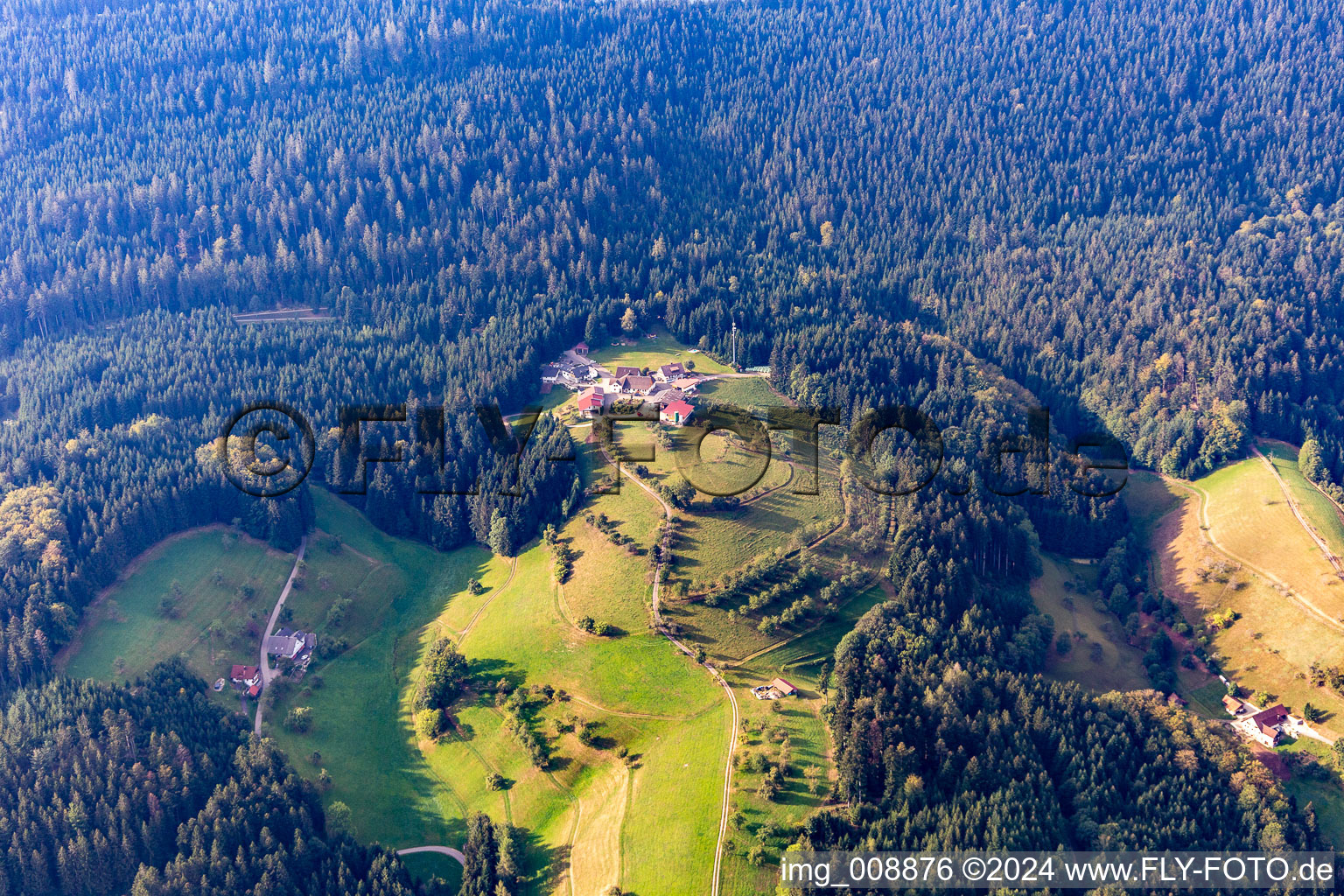 Aerial view of Löscherhansenhof in the district Bad Peterstal in Bad Peterstal-Griesbach in the state Baden-Wuerttemberg, Germany