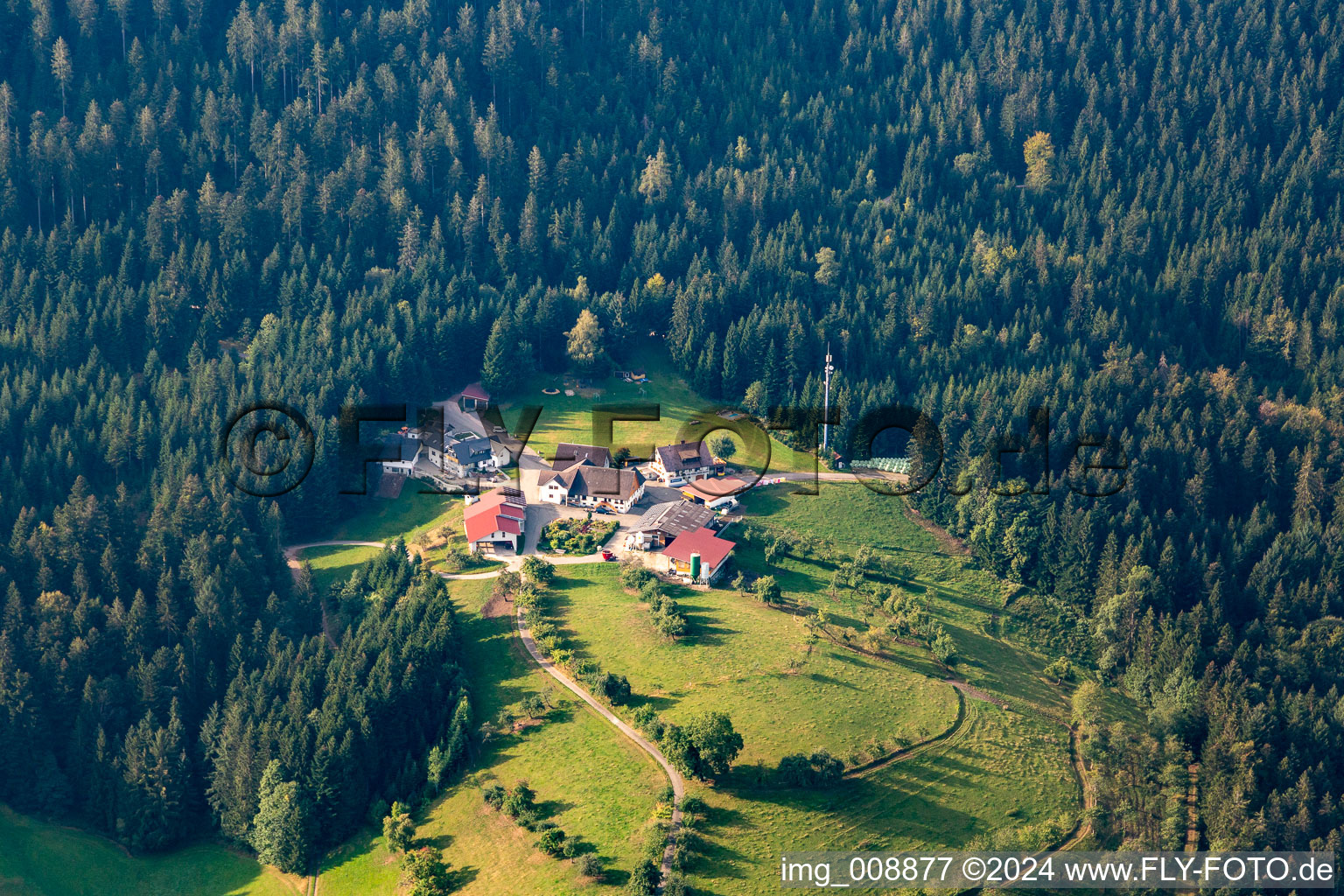 Aerial photograpy of Löscherhansenhof in the district Bad Peterstal in Bad Peterstal-Griesbach in the state Baden-Wuerttemberg, Germany