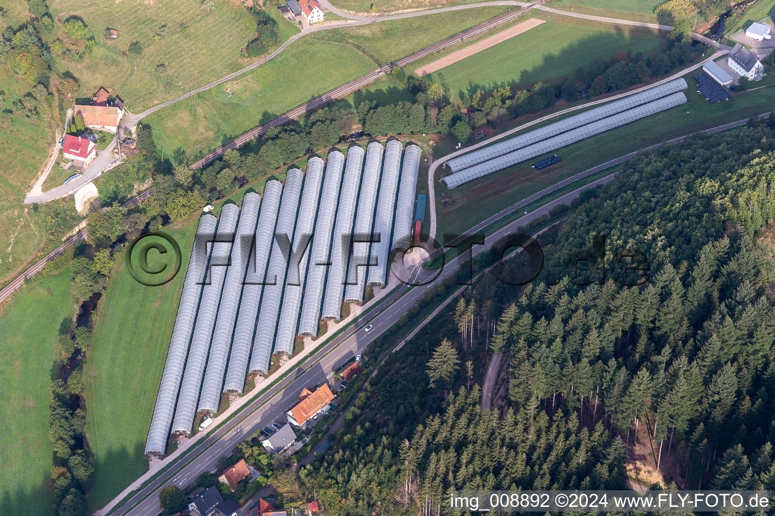 Polytunnel in the Renchtal in Oppenau in the state Baden-Wuerttemberg, Germany