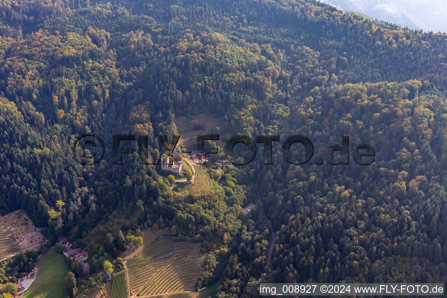 Aerial photograpy of Ruins and vestiges of the former fortress Schauenburg in Oberkirch in the state Baden-Wurttemberg, Germany