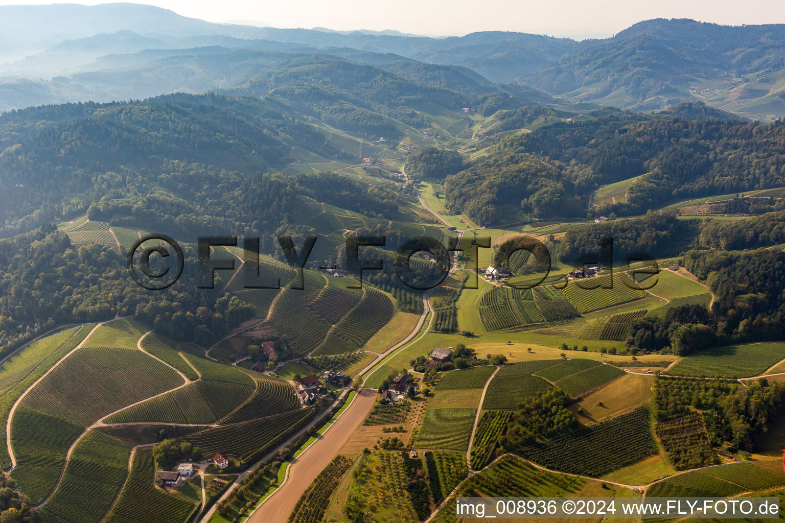 Weintalstrasse in Weidenbachtal in Oberkirch in the state Baden-Wuerttemberg, Germany