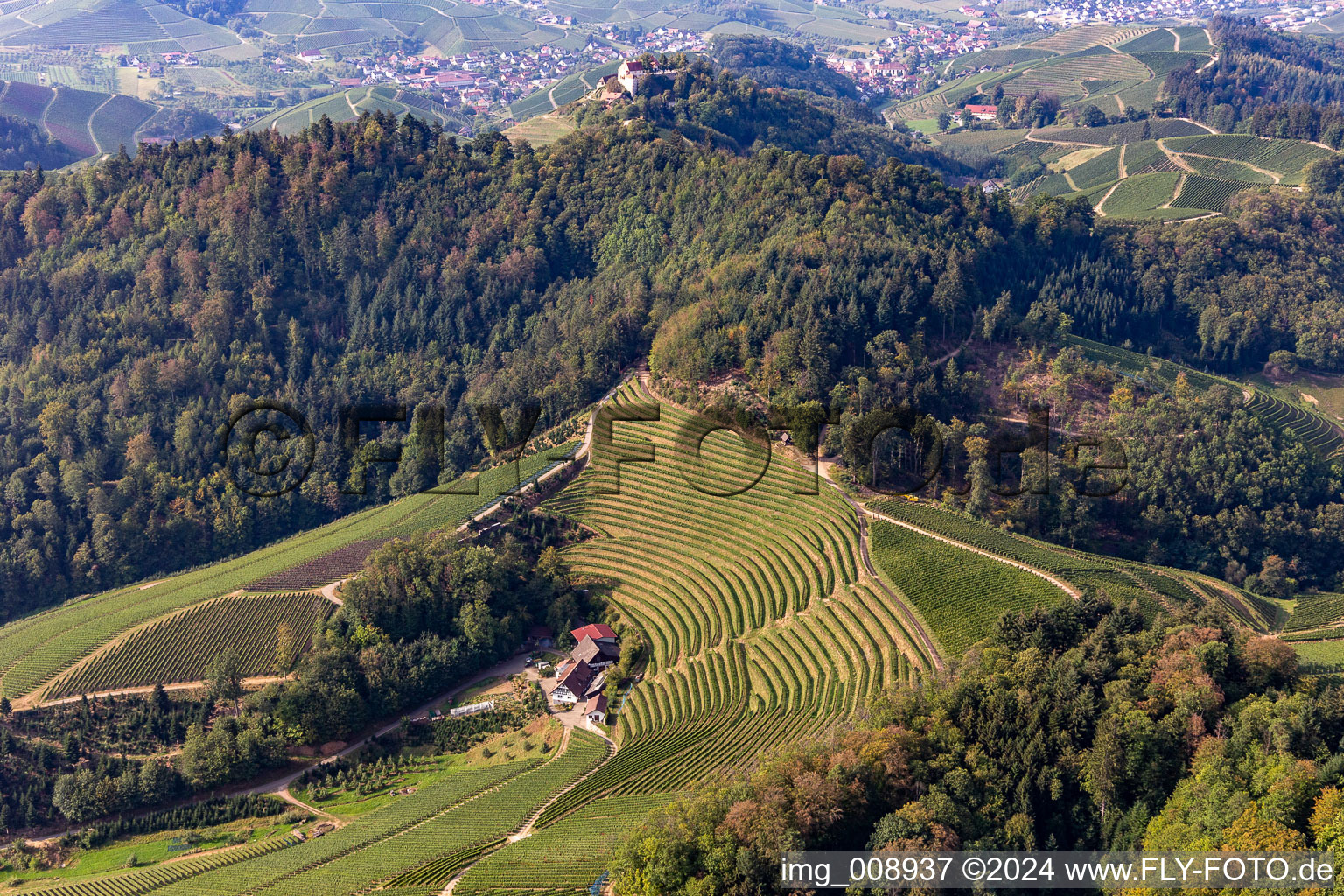 Staufenberg Castle behind the Stollenberg in Durbach in the state Baden-Wuerttemberg, Germany