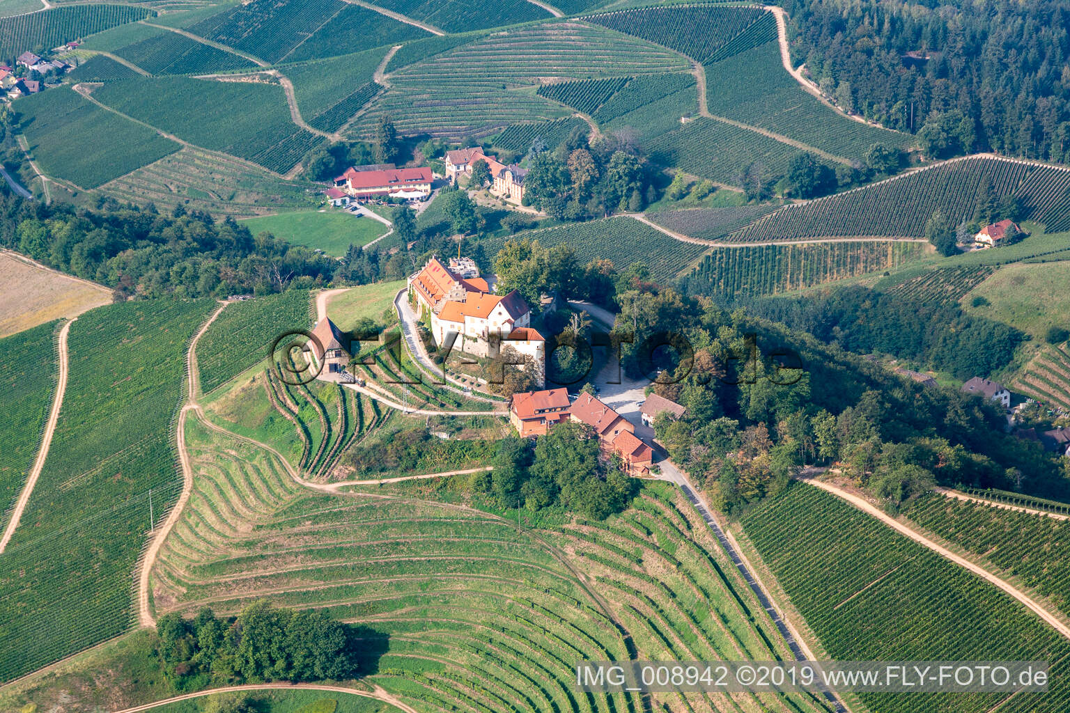 Aerial view of Margrave von Baden winery in Staufenberg Castle in Durbach in the state Baden-Wuerttemberg, Germany