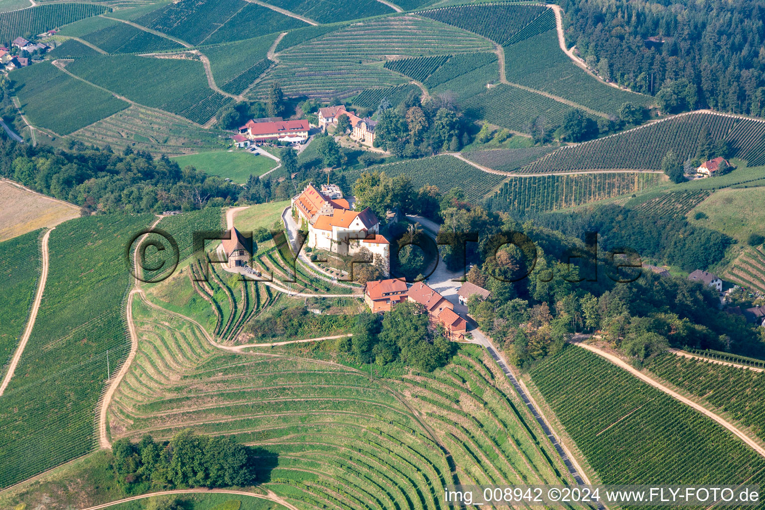 Aerial view of Markgraf von Baden Winery in Staufenberg Castle in the district Heimbach in Durbach in the state Baden-Wuerttemberg, Germany