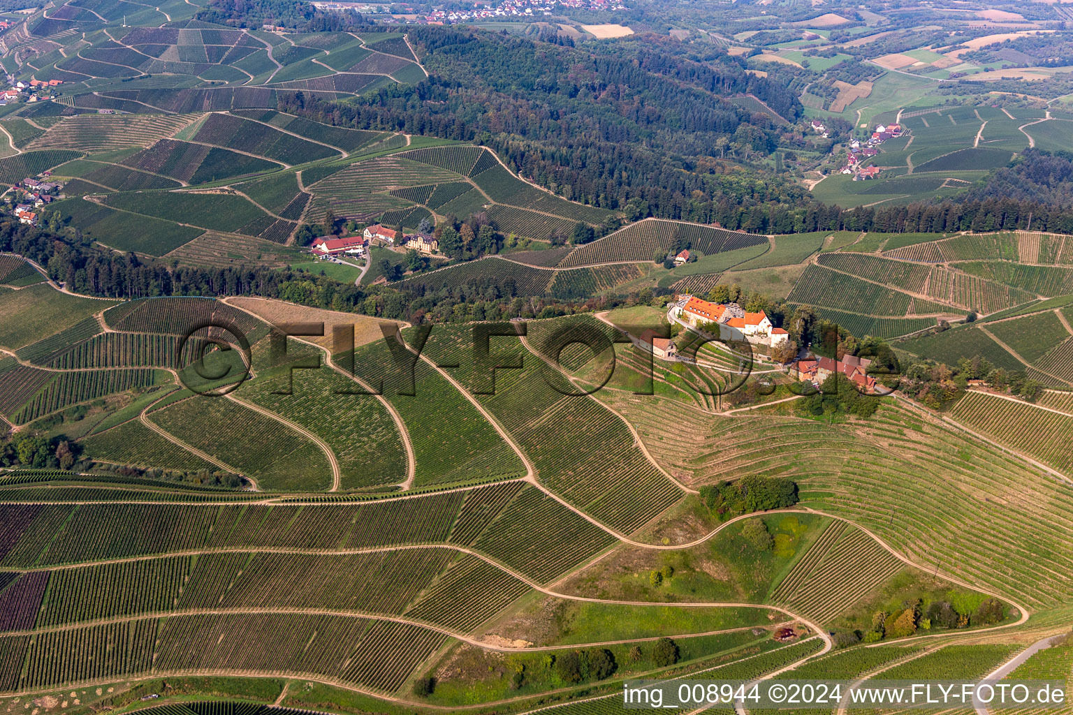 Oblique view of Markgraf von Baden Winery in Staufenberg Castle in the district Heimbach in Durbach in the state Baden-Wuerttemberg, Germany