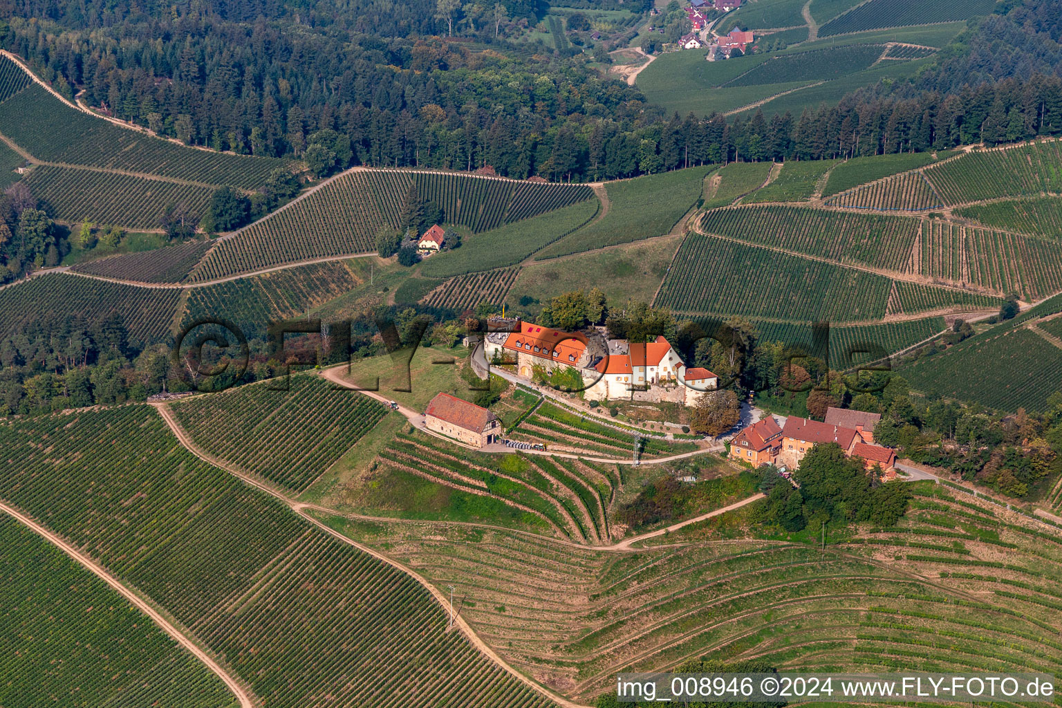 Oblique view of Castle winery and restaurant Schloss Staufenberg in Durbach in the state Baden-Wuerttemberg, Germany