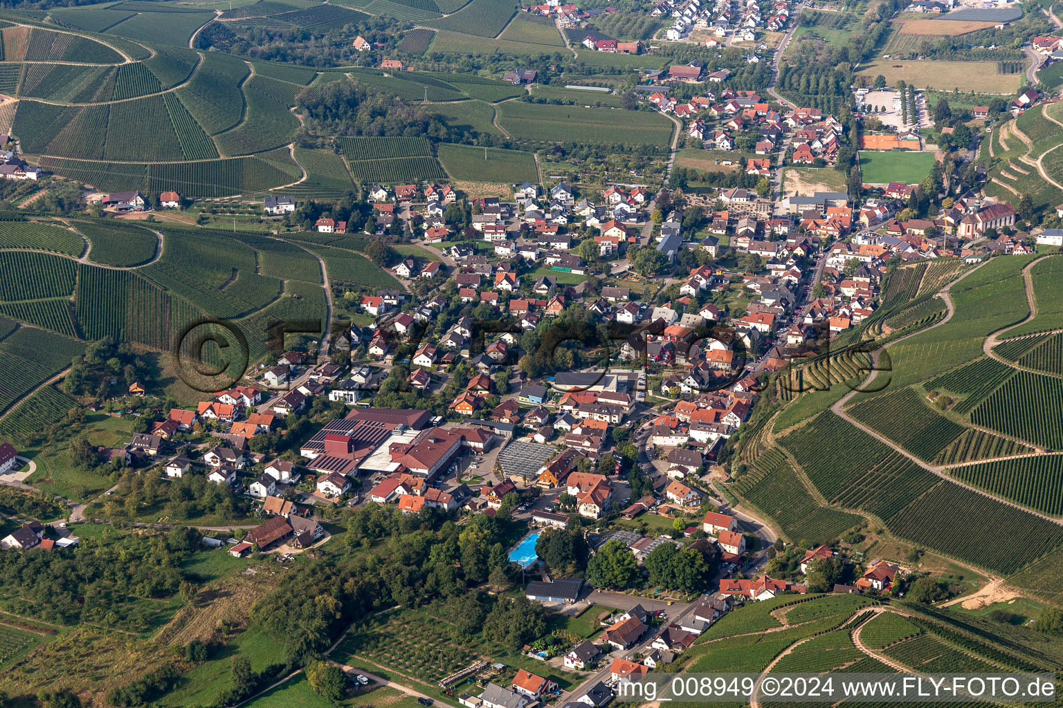 Fields of wine cultivation landscape in Durbach in the state Baden-Wurttemberg, Germany