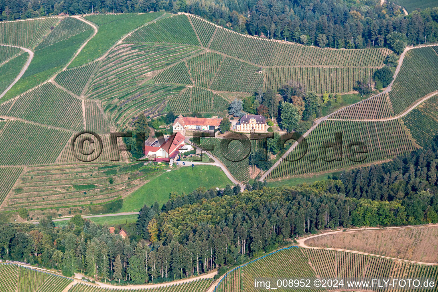 Winery and guest house Winzerhof on the edge of vineyards and in Durbach in the state Baden-Wuerttemberg, Germany