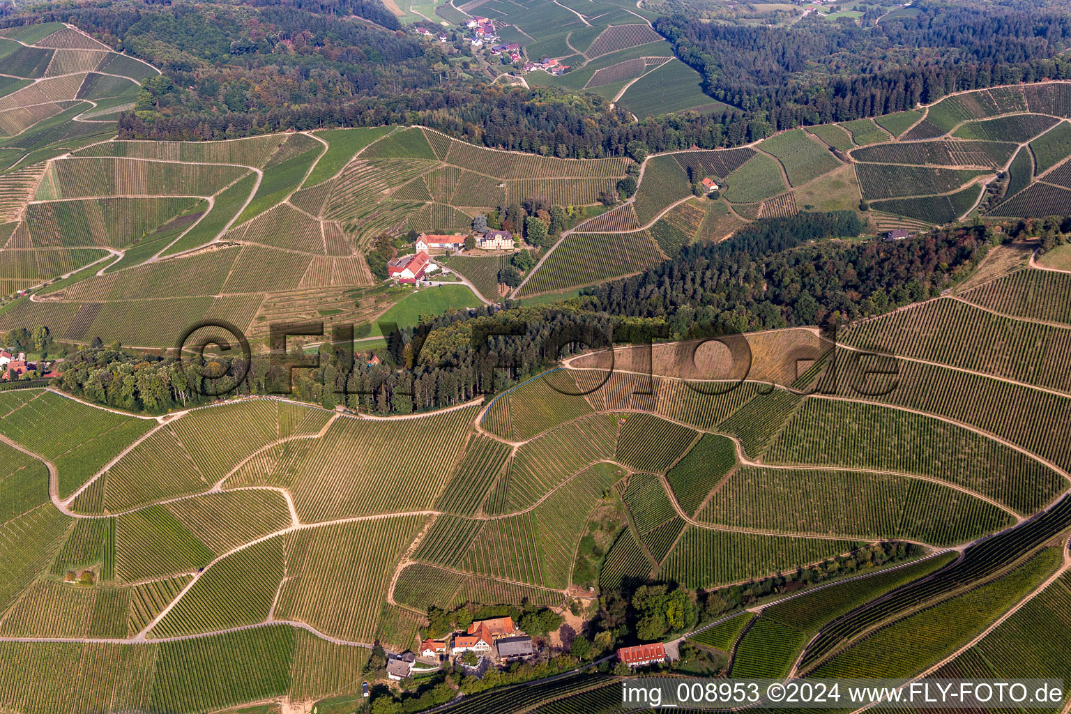 Winery in the district Heimbach in Durbach in the state Baden-Wuerttemberg, Germany