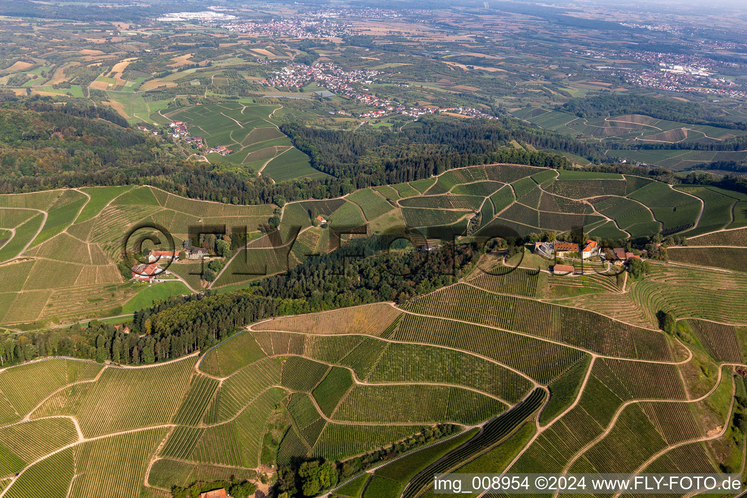 Winery and guest house Winzerhof and Castle of Schloss Staufenberg on the edge of vineyards and in Durbach in the state Baden-Wuerttemberg, Germany