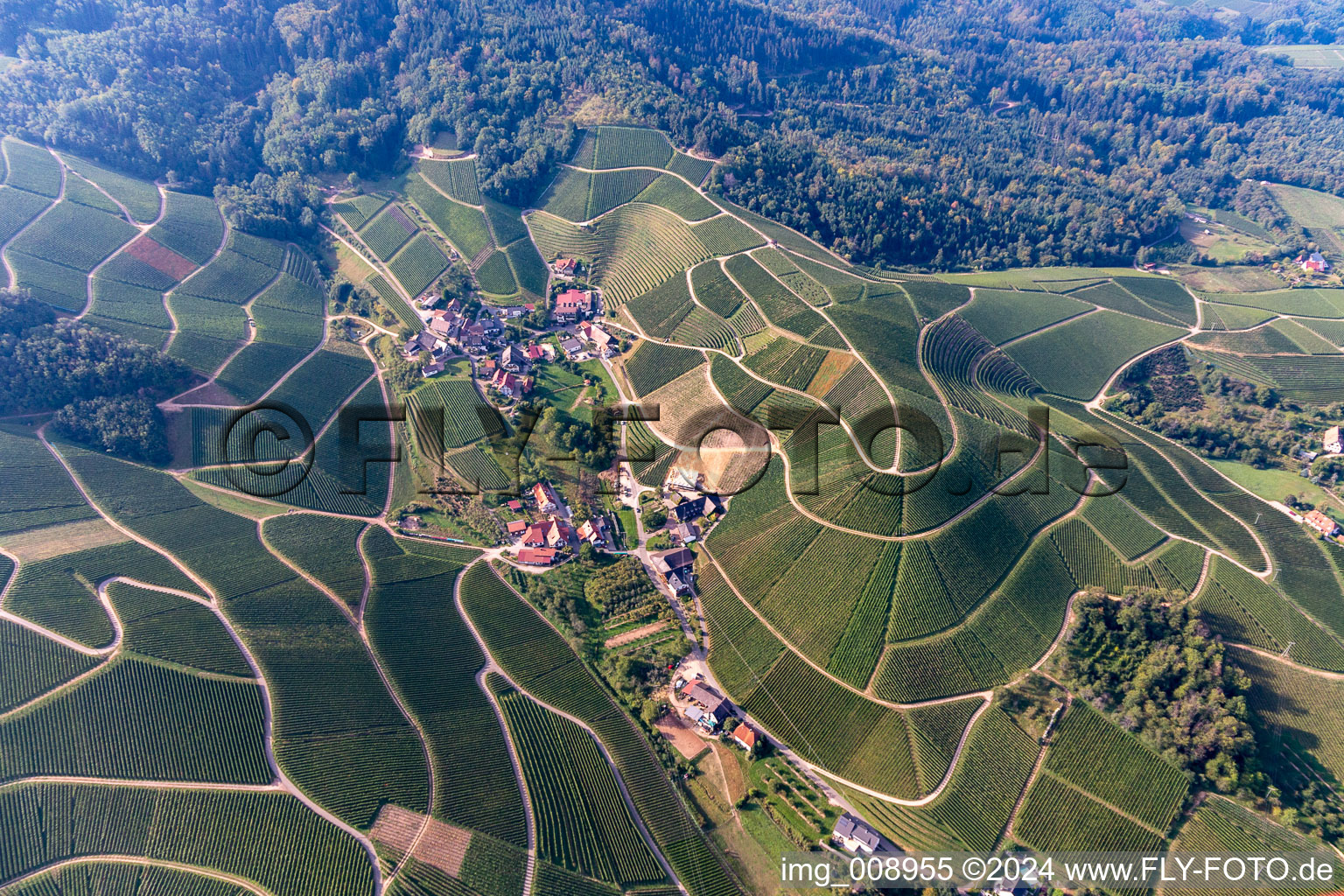 District Sendelbach in Durbach in the state Baden-Wuerttemberg, Germany