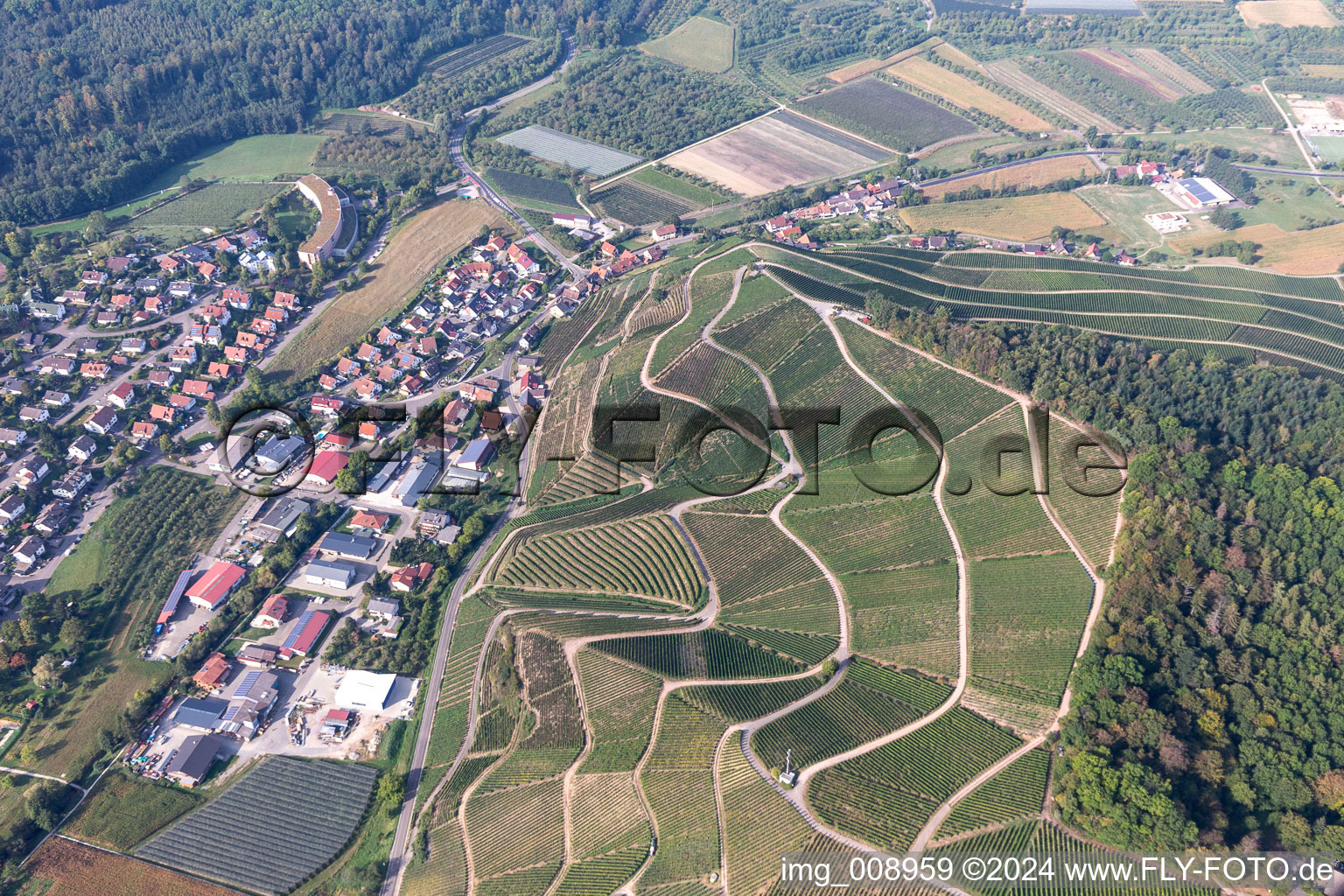 Aerial view of District Unterweiler in Durbach in the state Baden-Wuerttemberg, Germany