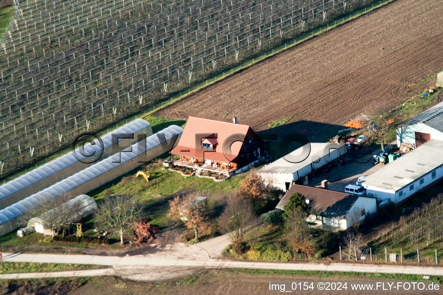 West of Zapf in Kandel in the state Rhineland-Palatinate, Germany