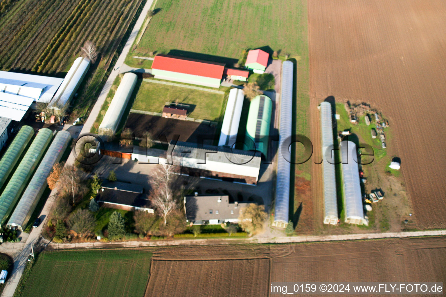 Zapf fruit and vegetable farm in Kandel in the state Rhineland-Palatinate, Germany