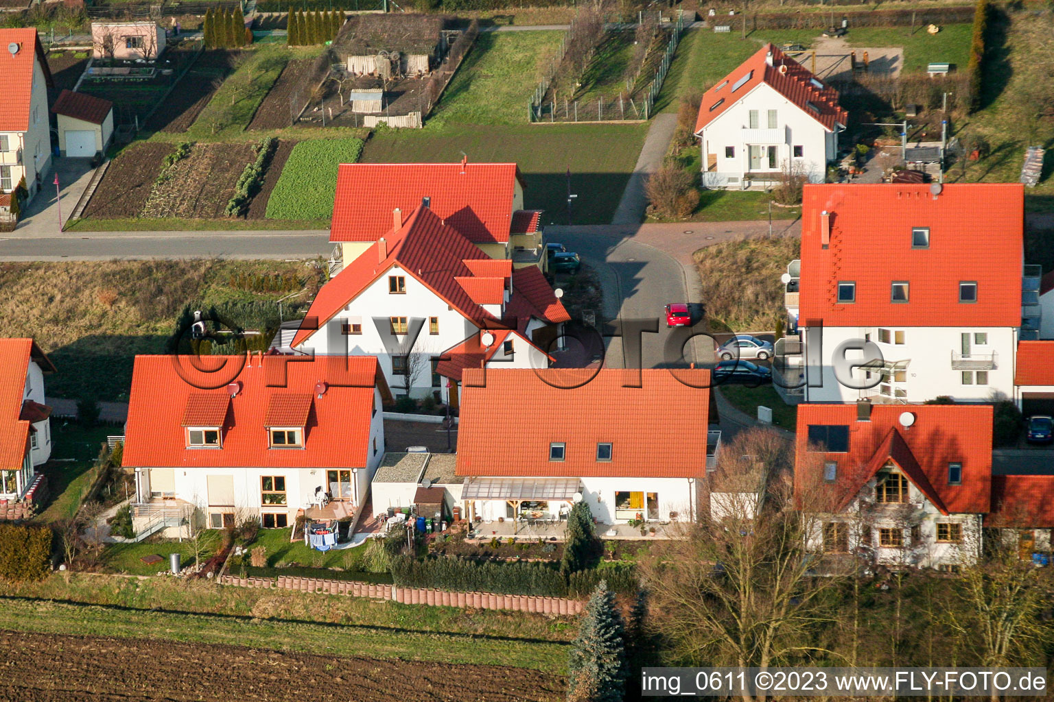 Aerial view of Hare catching in Freckenfeld in the state Rhineland-Palatinate, Germany