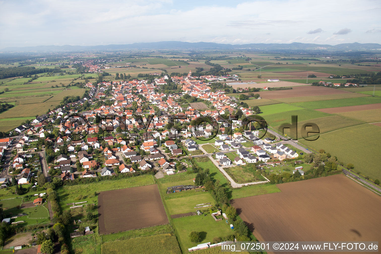 Oblique view of Minfeld in the state Rhineland-Palatinate, Germany